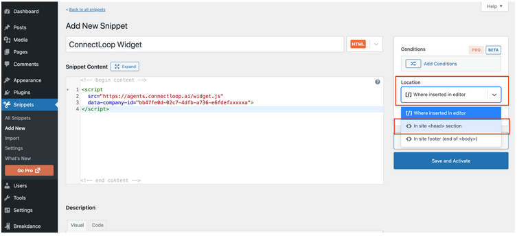 Location dropdown set to In site head section